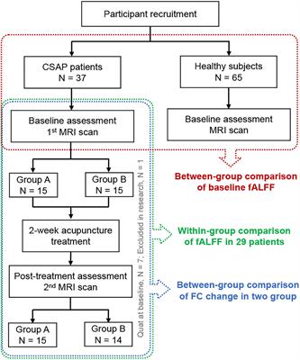 Acupuncture Modulates the Spontaneous Activity and Functional Connectivity of Calcarine in Patients With Chronic Stable Angina Pectoris